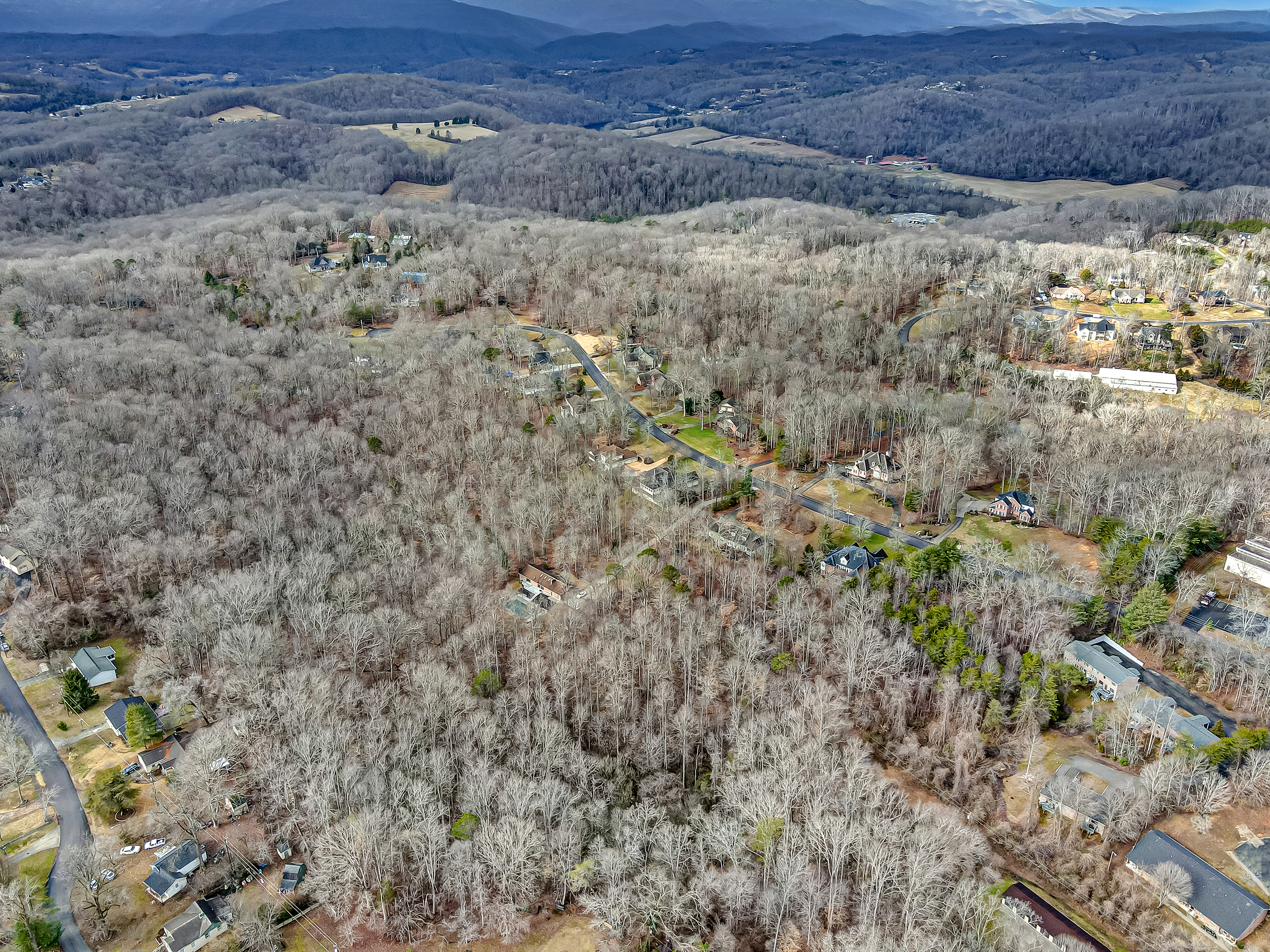 39 Chestnut Drive, Norris, TN 37828 - Photo 39