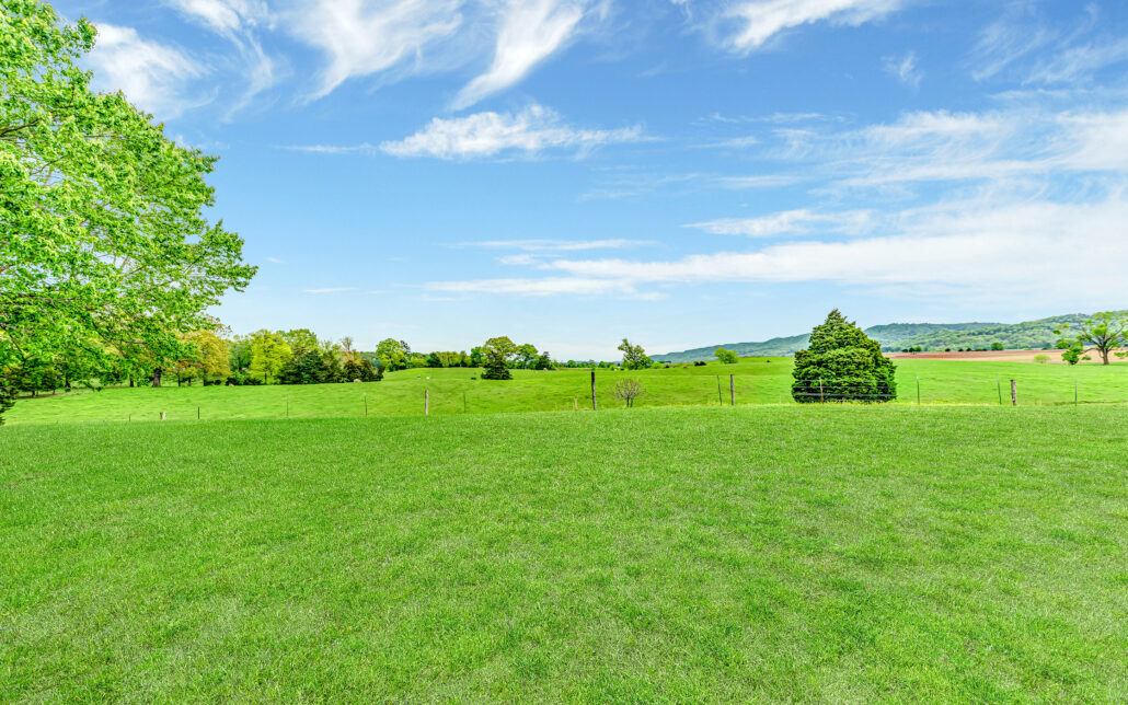 480 Deer Ridge Drive Rutledge, TN 37861 - Photo 8