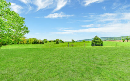 480 Deer Ridge Drive Rutledge, TN 37861 - Photo 8