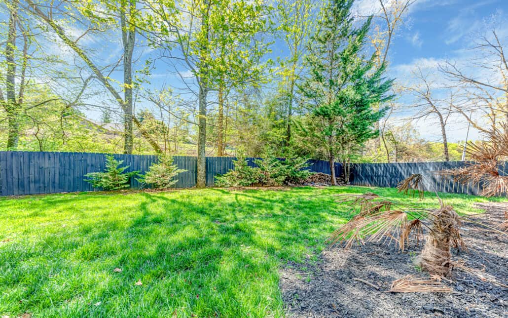 8620 Barbee Lane, Knoxville, TN 37923 - Photo 8