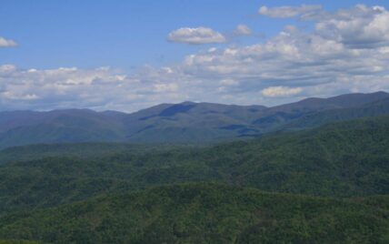 Tract 29R3 Chilhowee Mountain Trl, Maryville, TN 37803 - Photo 26