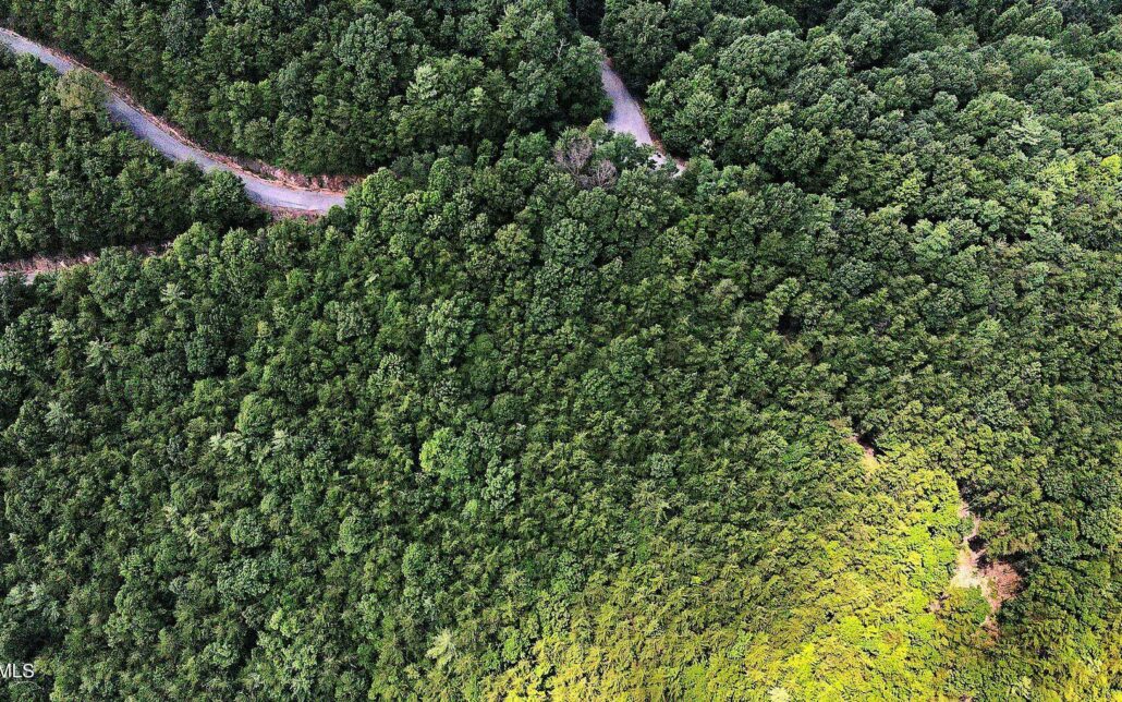 Tract 25 Chilhowee Mountain Trl, Maryville, TN 37803 - Photo 3