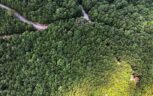 Tract 25 Chilhowee Mountain Trl, Maryville, TN 37803 - Photo 3