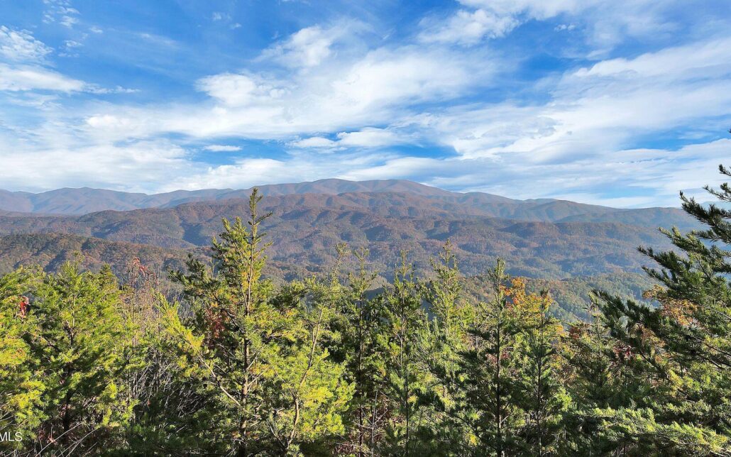 Tract 29R3 Chilhowee Mountain Trl, Maryville, TN 37803 - Photo 3