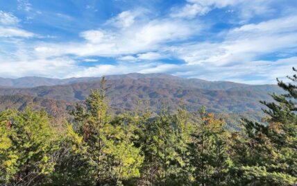 Tract 29R3 Chilhowee Mountain Trl, Maryville, TN 37803 - Photo 3