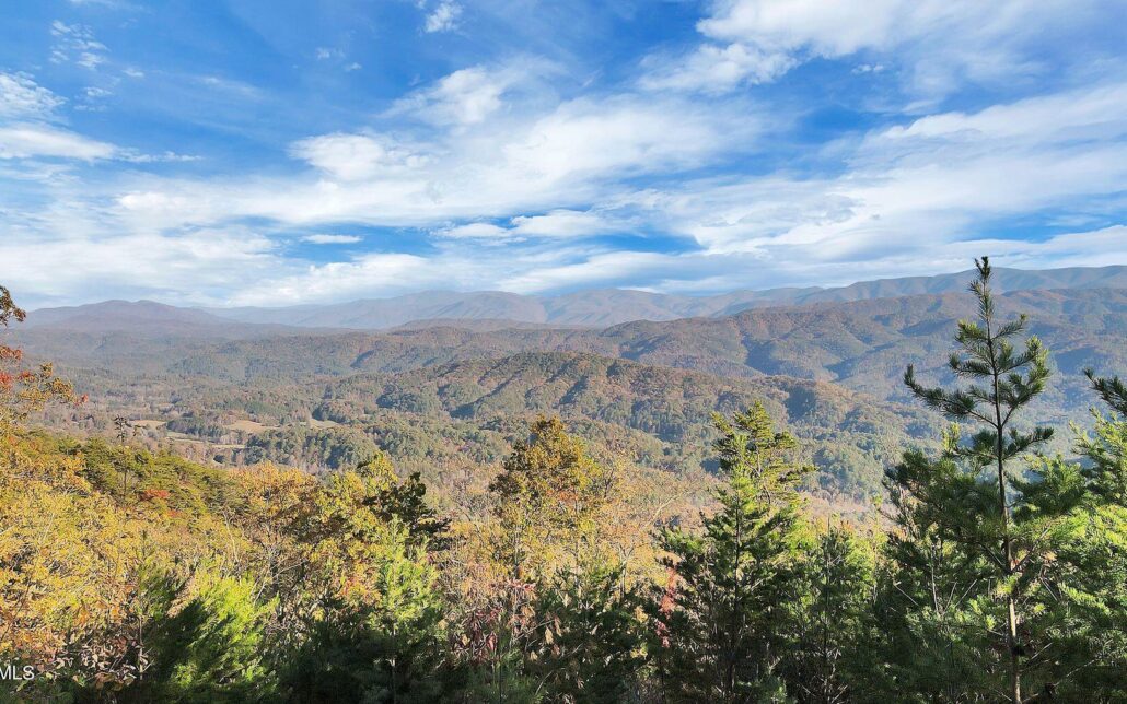 Tract 29R3 Chilhowee Mountain Trl, Maryville, TN 37803 - Photo 4