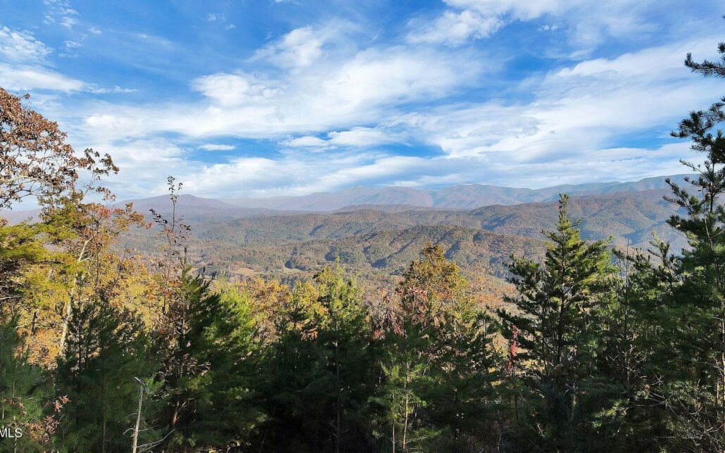 Tract 29R3 Chilhowee Mountain Trl, Maryville, TN 37803 - Photo 5