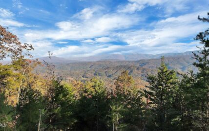 Tract 29R3 Chilhowee Mountain Trl, Maryville, TN 37803 - Photo 5