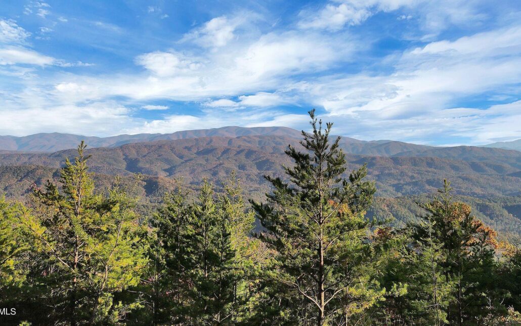 Tract 29R3 Chilhowee Mountain Trl, Maryville, TN 37803 - Photo 6