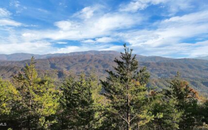 Tract 29R3 Chilhowee Mountain Trl, Maryville, TN 37803 - Photo 6