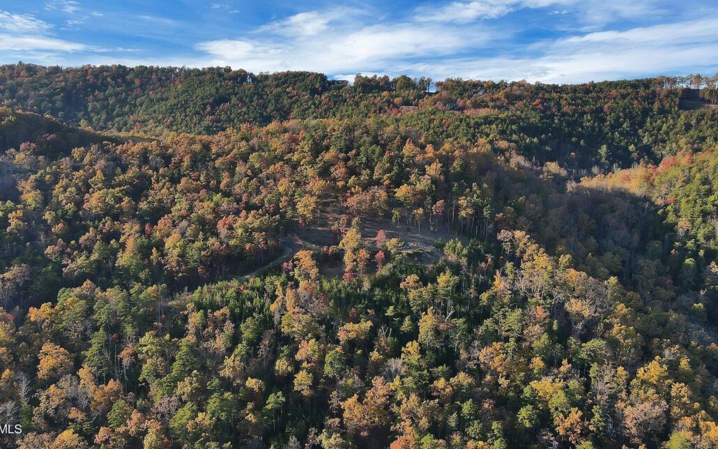 Tract 29R3 Chilhowee Mountain Trl, Maryville, TN 37803 - Photo 7