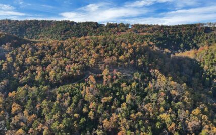 Tract 29R3 Chilhowee Mountain Trl, Maryville, TN 37803 - Photo 7