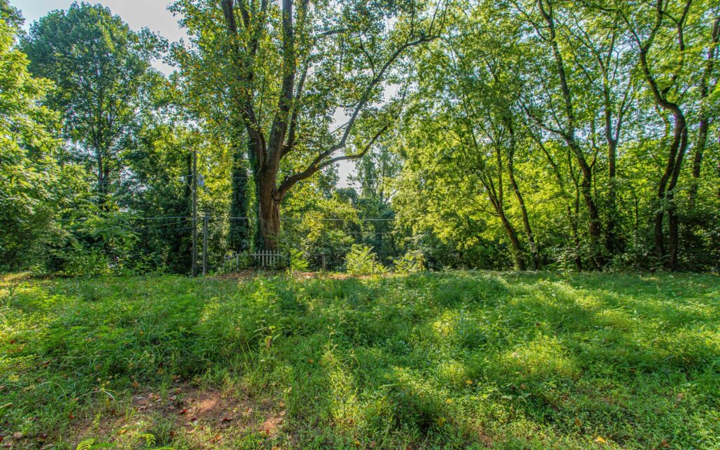 1231 Baker Ave, Knoxville, TN 37920 - Photo 6