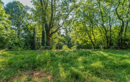 1231 Baker Ave, Knoxville, TN 37920 - Photo 6