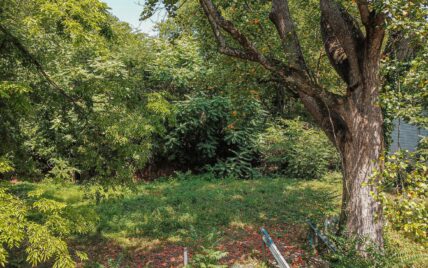 1231 Baker Ave, Knoxville, TN 37920 - Photo 3