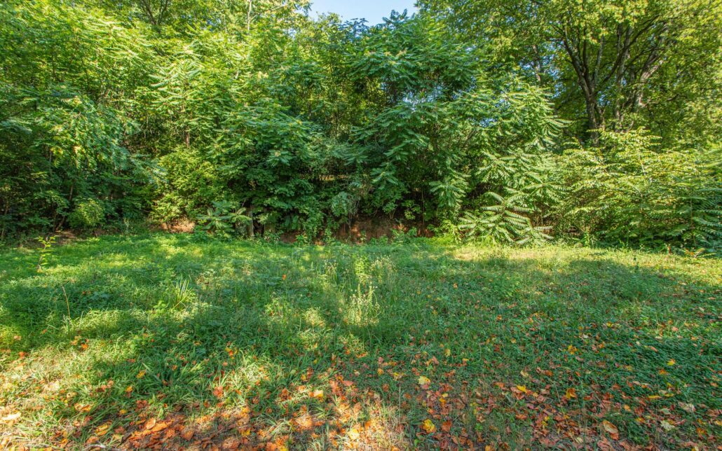 1231 Baker Ave, Knoxville, TN 37920 - Photo 4