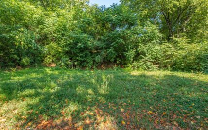 1231 Baker Ave, Knoxville, TN 37920 - Photo 4