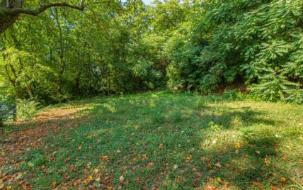 1231 Baker Ave, Knoxville, TN 37920 - Photo 5