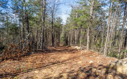 4281 Chilhowee Tr., Maryville, TN 37803 - Photo 11