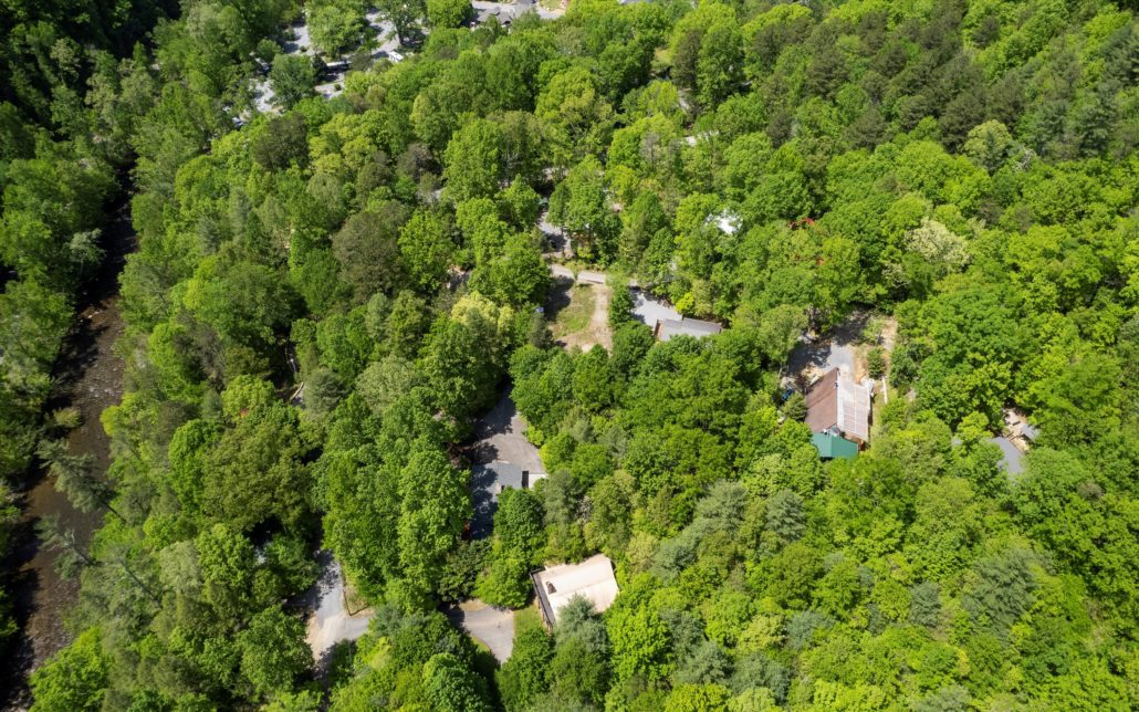 112 Buffalo Springs Way, Townsend, TN 37882 - Photo 5