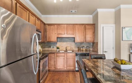 445 W Blount Ave, 405 Knoxville, TN 37920 - Photo 9