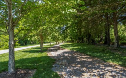 Timberhead Lane, Louisville, TN - Photo 11