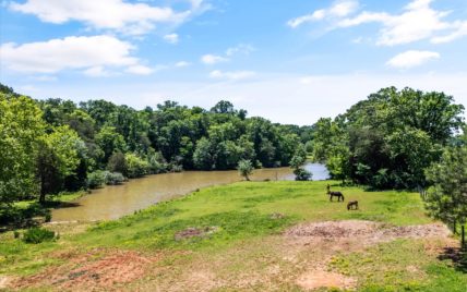 9912 Westland Drive Knoxville, TN 37922 - Photo 57