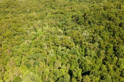 1919 Walnut Flats Rd, Walland, TN 37886