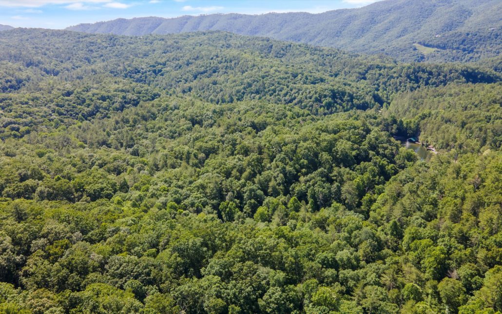 1919 Walnut Flats Rd, Walland, TN 37886 - Photo 10