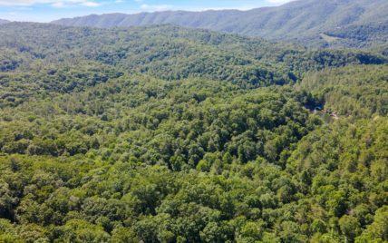 1919 Walnut Flats Rd, Walland, TN 37886 - Photo 10