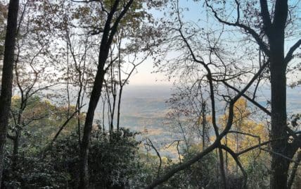 Chilhowee Tr, Maryville, TN 37803 - Photo 5