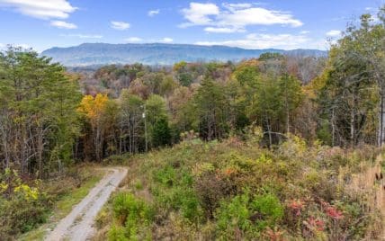 703 N Knob Creek Rd Fall - Photo 12