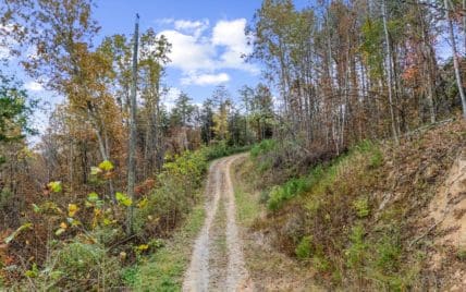 703 N Knob Creek Rd Fall - Photo 9