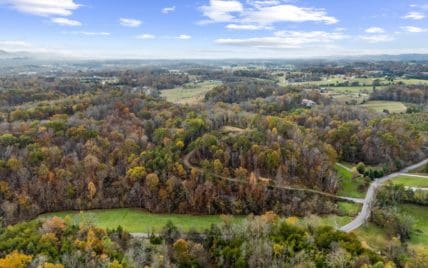 703 N Knob Creek Rd Fall - Photo 6