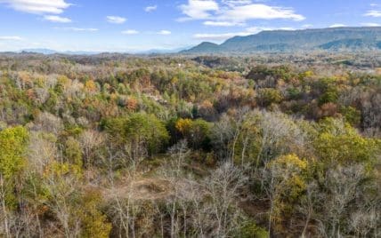 703 N Knob Creek Rd Fall - Photo 18