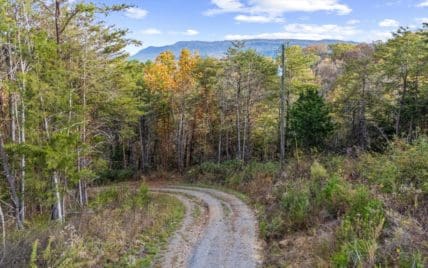 703 N Knob Creek Rd Fall - Photo 10