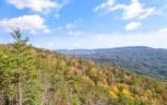 Lot 26RA-1 Chilhowee Mountain Tr, Maryville, TN 37803 - Photo 29