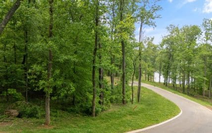 Lot 246R Arcadia Peninsula Way, Knoxville, TN 37922 - Photo 7