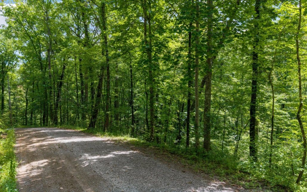 1618 Walnut Flats Road, Walland, TN 37886 - Photo 7