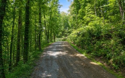 1618 Walnut Flats Road, Walland, TN 37886 - Photo 8