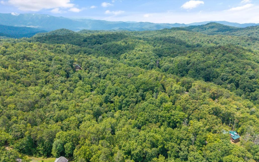 1618 Walnut Flats Road, Walland, TN 37886 - Photo 3