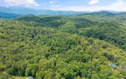 1618 Walnut Flats Road, Walland, TN 37886 - Photo 3