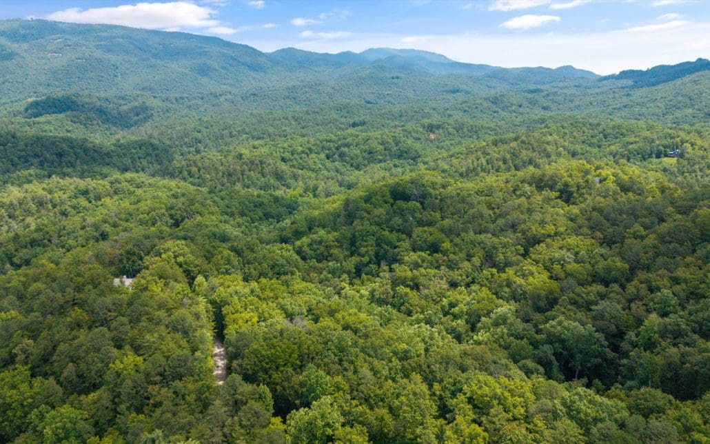 1618 Walnut Flats Road, Walland, TN 37886 - Photo 1