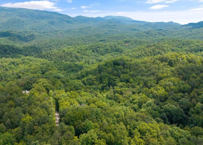 1618 Walnut Flats Road, Walland, TN 37886