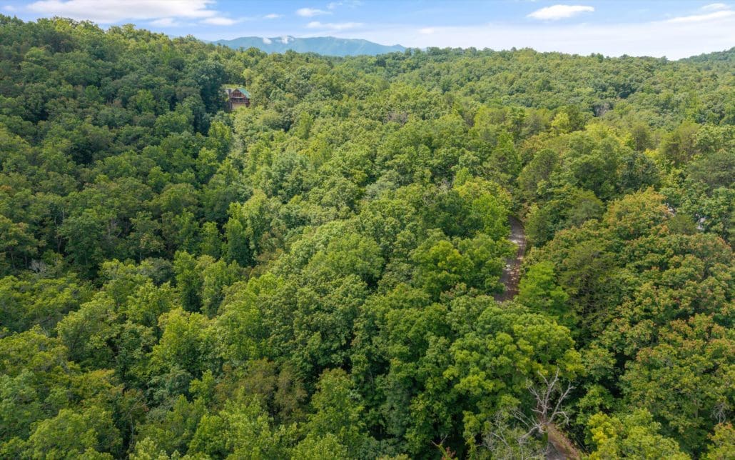 1618 Walnut Flats Road, Walland, TN 37886 - Photo 2