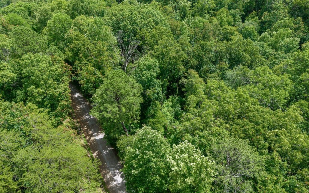 1618 Walnut Flats Road, Walland, TN 37886 - Photo 4