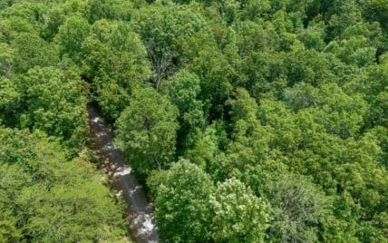 1618 Walnut Flats Road, Walland, TN 37886 - Photo 4