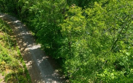 1618 Walnut Flats Road, Walland, TN 37886 - Photo 6