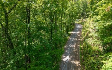 1618 Walnut Flats Road, Walland, TN 37886 - Photo 9