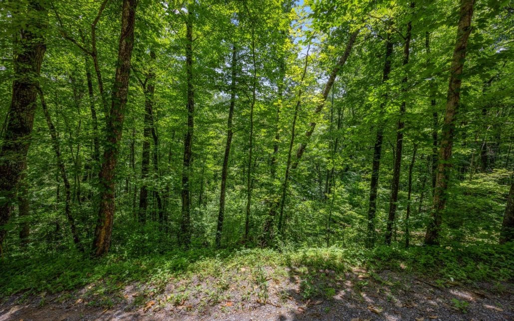 1618 Walnut Flats Road, Walland, TN 37886 - Photo 10